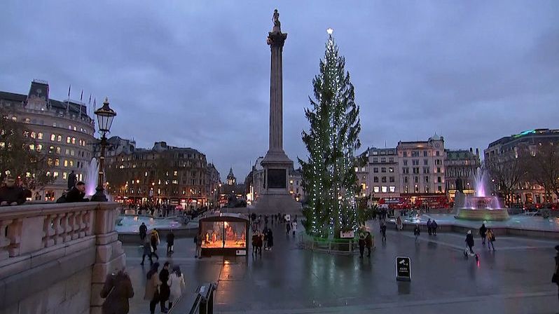 Radní z Osla projednají nápravu ostudy s vánočním stromem pro Londýn